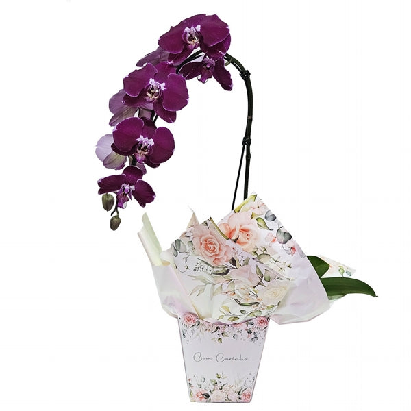 Orquídea Lilás Con Cariño