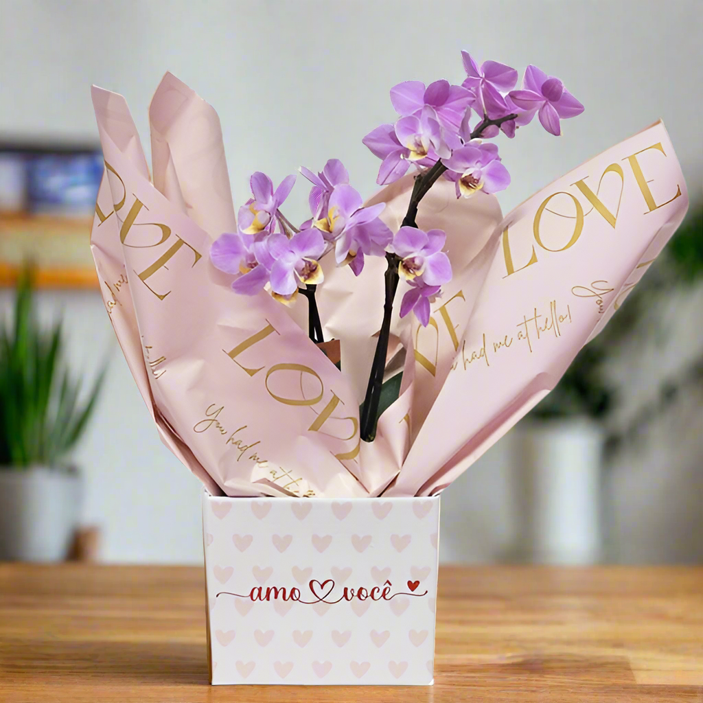 Orquídea Romântica Mini