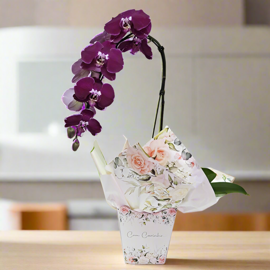 Orquídea Lilás Com Carinho