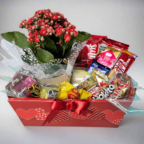 Cesta Carinho con chocolates y flores